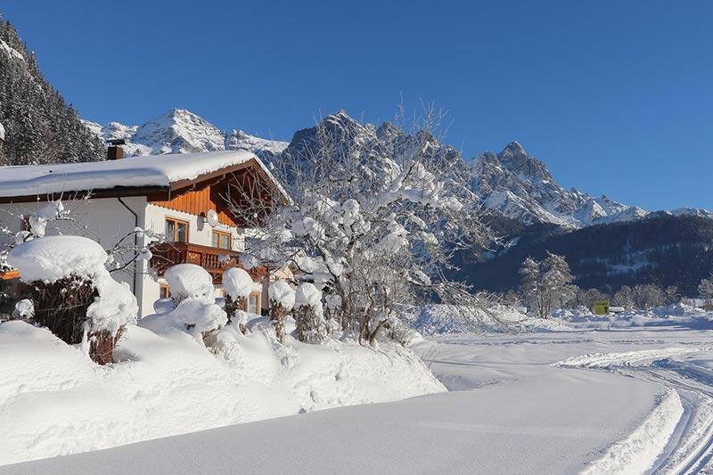 Apartament Biechl-hauser Doris St. Ulrich am Pillersee